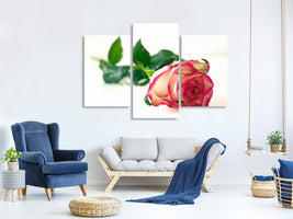 modern-3-piece-canvas-print-the-proud-rose