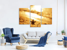 modern-3-piece-canvas-print-the-starfish