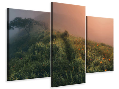 panoramic-canvas-print-the-seagulls-and-the-sea-at-sunrise