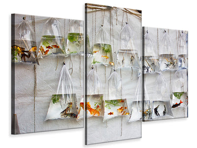 modern-3-piece-canvas-print-the-wall-of-fish