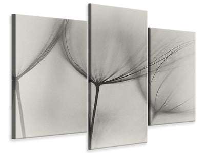 modern-3-piece-canvas-print-tragopogon