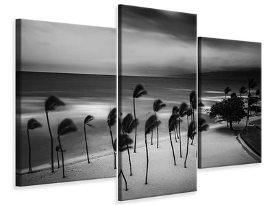 modern-3-piece-canvas-print-tropical-storm