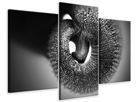 modern-3-piece-canvas-print-trunk