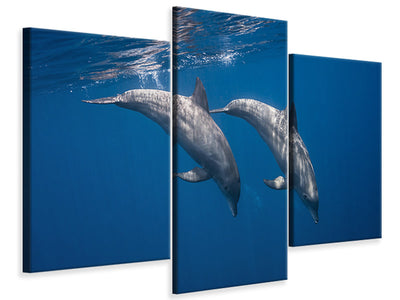 modern-3-piece-canvas-print-two-bottlenose-dolphins
