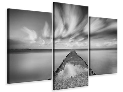 panoramic-canvas-print-the-seagulls-and-the-sea-at-sunrise