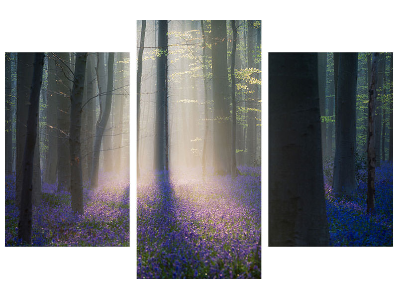 modern-3-piece-canvas-print-velvet-light