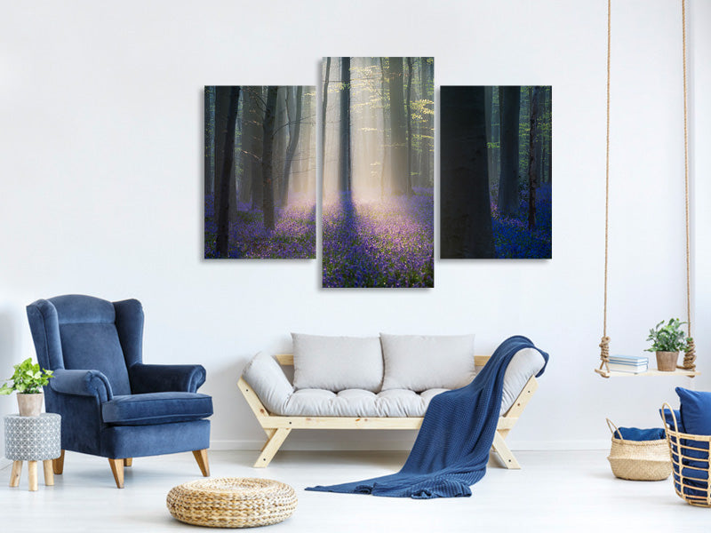 modern-3-piece-canvas-print-velvet-light
