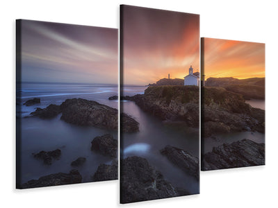 panoramic-canvas-print-the-seagulls-and-the-sea-at-sunrise