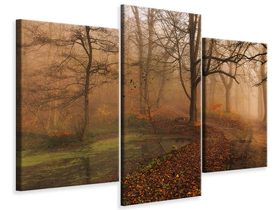 modern-3-piece-canvas-print-which-path-ii