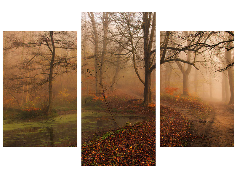 modern-3-piece-canvas-print-which-path-ii