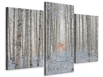 modern-3-piece-canvas-print-white