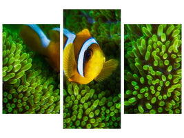 modern-3-piece-canvas-print-yellow-clownfish-on-green-anemon