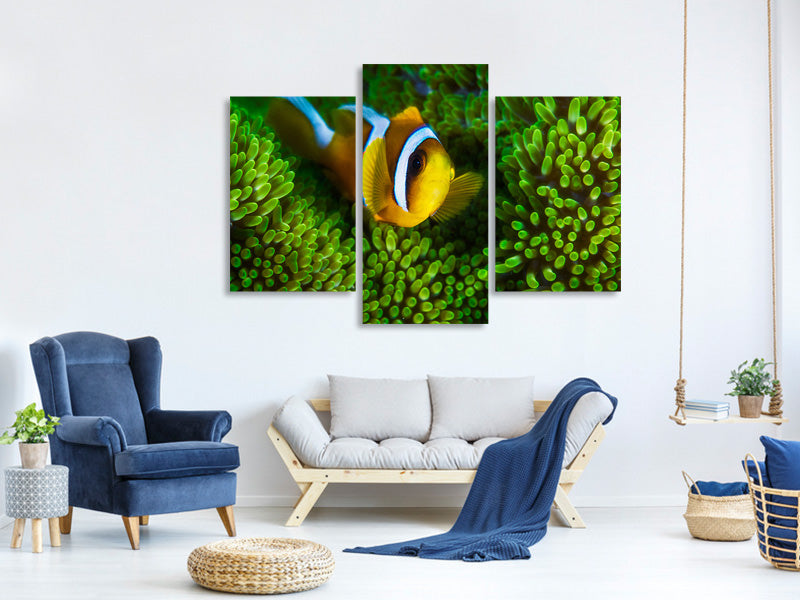 modern-3-piece-canvas-print-yellow-clownfish-on-green-anemon