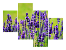 modern-4-piece-canvas-print-beautiful-lavender