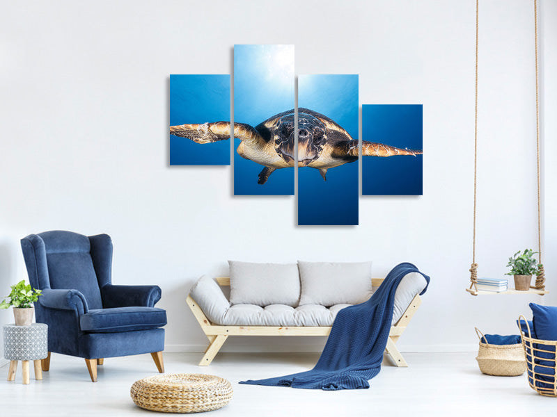 modern-4-piece-canvas-print-face-to-face-with-a-hawksbill-sea-turtle