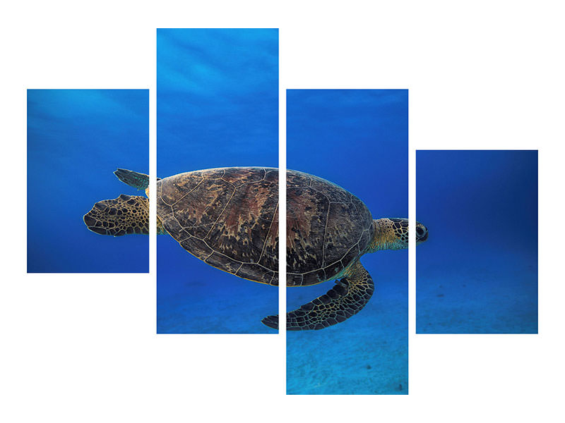 modern-4-piece-canvas-print-green-turtle-in-the-blue