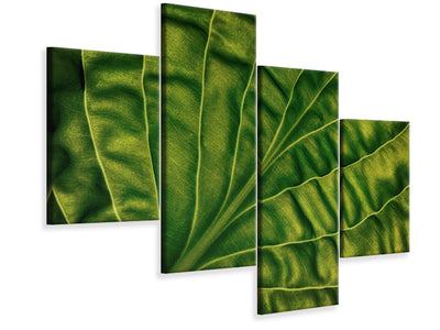 modern-4-piece-canvas-print-leaf-of-a-hosta