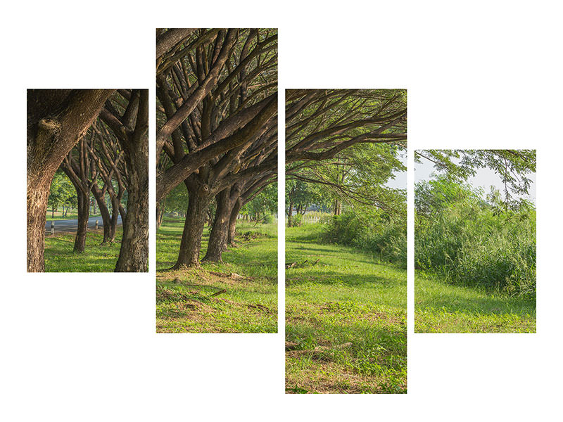 modern-4-piece-canvas-print-mature-trees