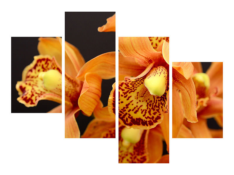 modern-4-piece-canvas-print-orchids-with-orange-flowers