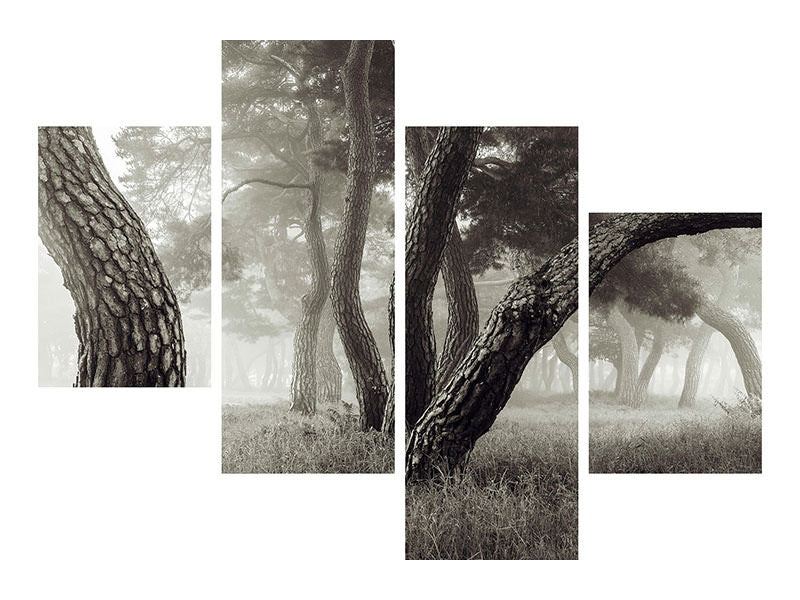 modern-4-piece-canvas-print-pine-grove-in-fog
