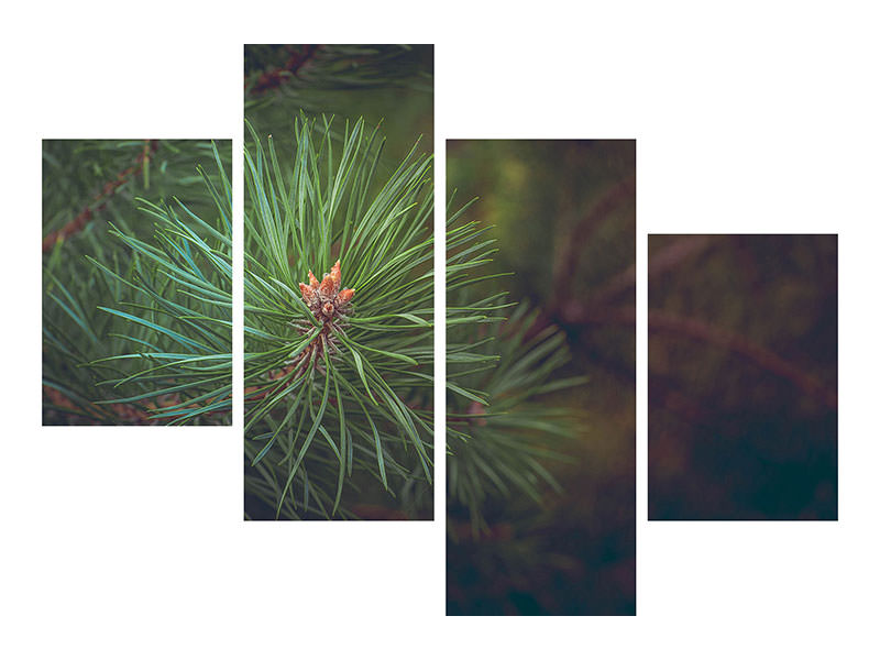 modern-4-piece-canvas-print-pine-tree-close-up
