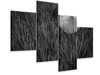 modern-4-piece-canvas-print-rice-fields-in-bw