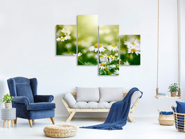 modern-4-piece-canvas-print-the-daisy