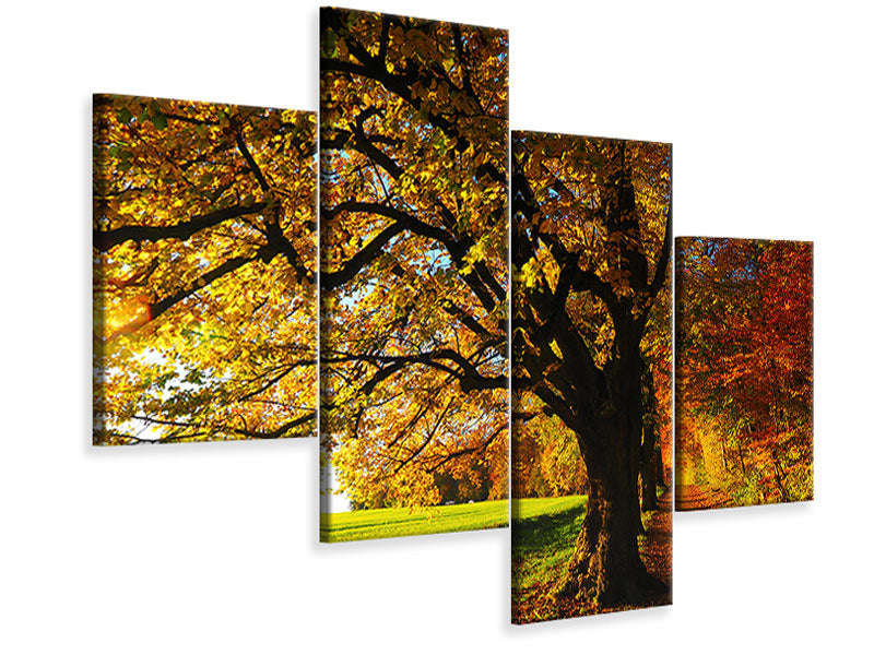 modern-4-piece-canvas-print-trees-in-the-autumn