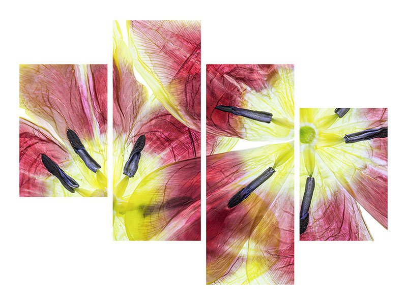 modern-4-piece-canvas-print-tulips