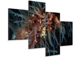 modern-4-piece-canvas-print-zanzibar-whip-coral-shrimp