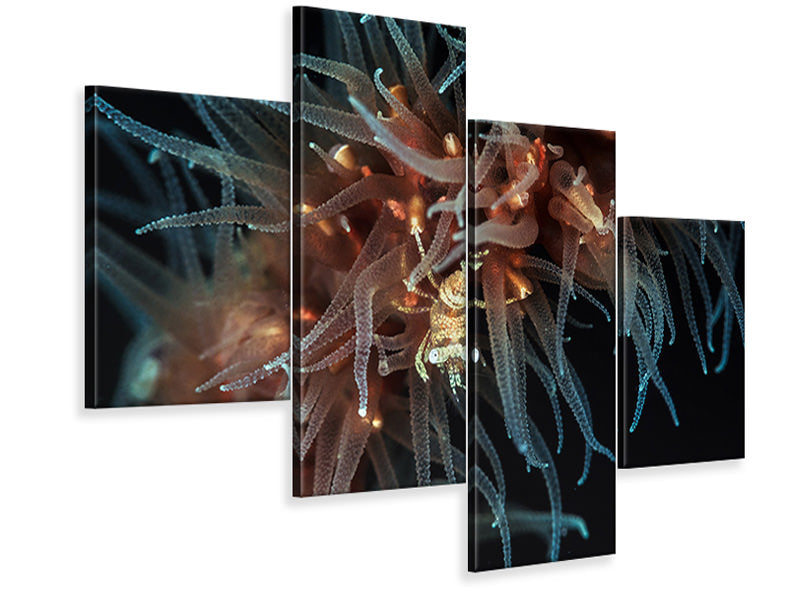 modern-4-piece-canvas-print-zanzibar-whip-coral-shrimp