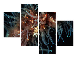 modern-4-piece-canvas-print-zanzibar-whip-coral-shrimp