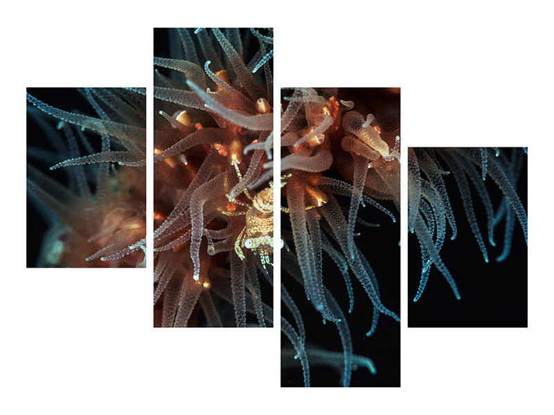 modern-4-piece-canvas-print-zanzibar-whip-coral-shrimp