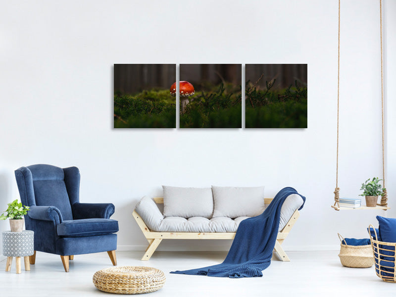 panoramic-3-piece-canvas-print-a-mushroom-in-the-forest