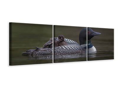 panoramic-3-piece-canvas-print-along-for-the-ride