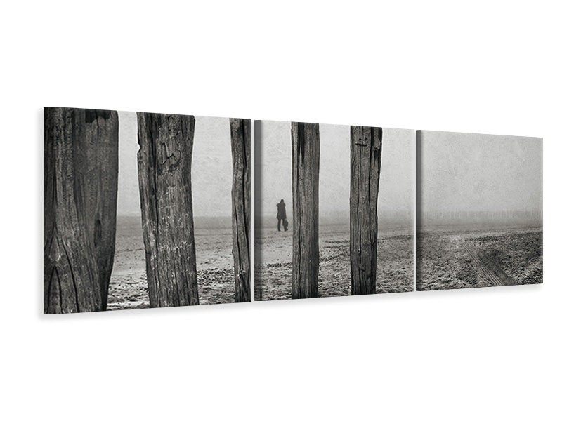 panoramic-3-piece-canvas-print-astray