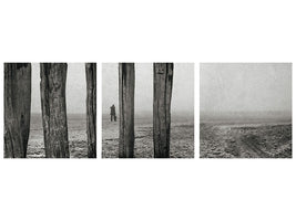 panoramic-3-piece-canvas-print-astray