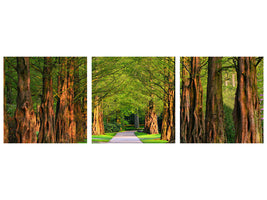 panoramic-3-piece-canvas-print-beautiful-avenue-in-nature