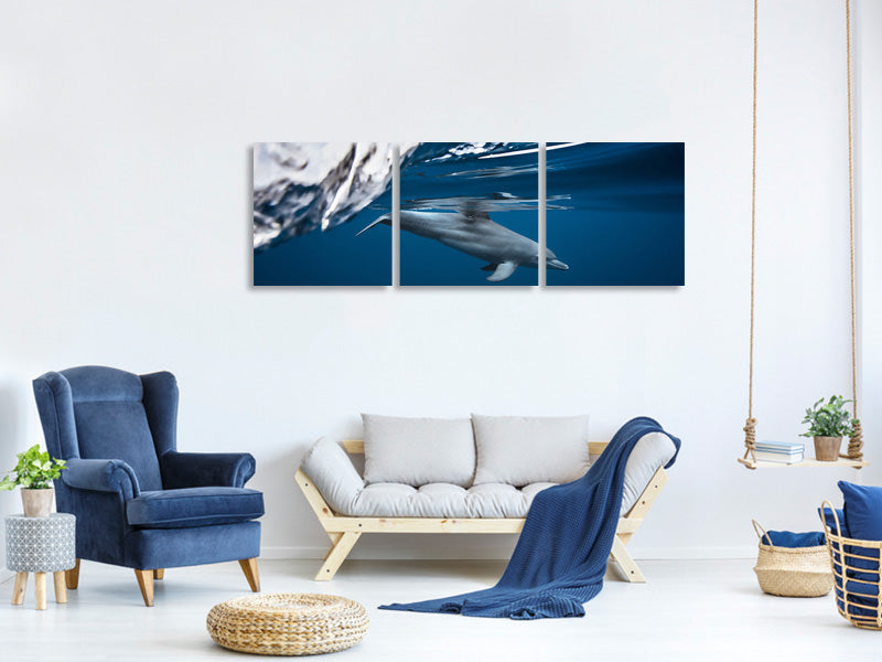 panoramic-3-piece-canvas-print-bottlenose-dolphin-turciops-aduncus
