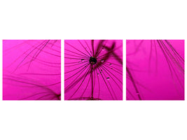 panoramic-3-piece-canvas-print-dandelion-in-pink