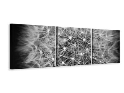 panoramic-3-piece-canvas-print-dandelion-in-xxl
