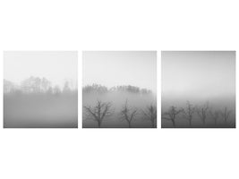 panoramic-3-piece-canvas-print-eight-trees-in-the-mist