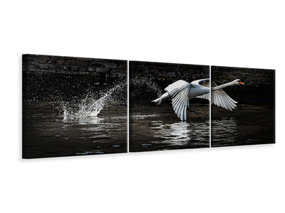 panoramic-3-piece-canvas-print-flying-swan