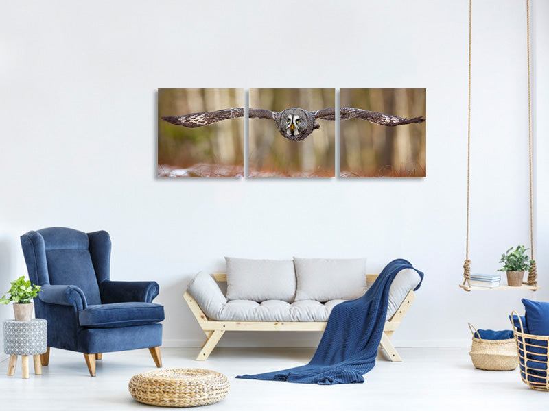 panoramic-3-piece-canvas-print-great-grey-owl