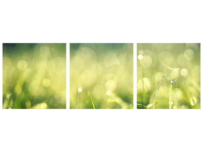 panoramic-3-piece-canvas-print-in-the-meadow