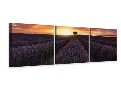 panoramic-canvas-print-the-seagulls-and-the-sea-at-sunrise