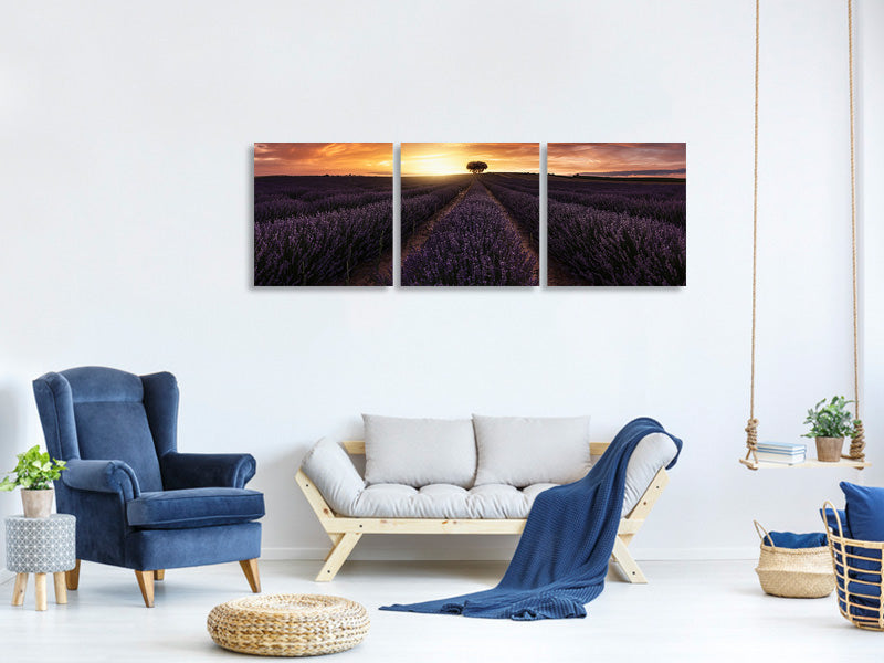 panoramic-3-piece-canvas-print-lavender-sunset