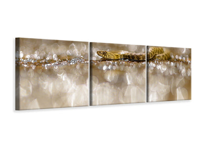 panoramic-3-piece-canvas-print-life-among-diamonds