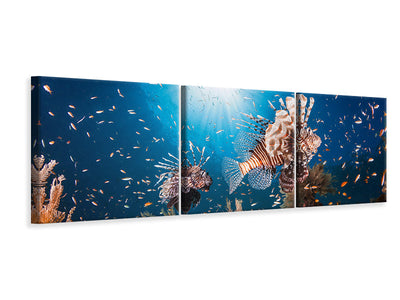 panoramic-3-piece-canvas-print-lionfish-ii