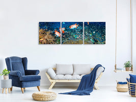 panoramic-3-piece-canvas-print-reef-lifeii